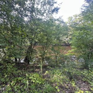 Photo #14 of 43 Black River, Harrells, NC 0.7 acres