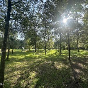 Photo #13 of 43 Black River, Harrells, NC 0.7 acres