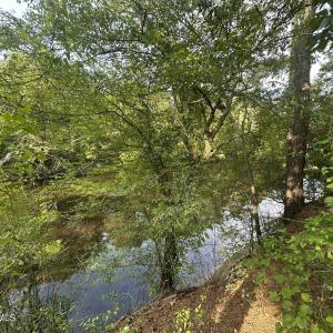Photo #12 of 43 Black River, Harrells, NC 0.7 acres