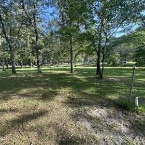Photo #11 of 43 Black River, Harrells, NC 0.7 acres