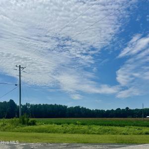 Photo #2 of 2645 Braswell, Chadbourn, NC 33.9 acres