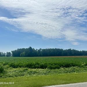 Photo #1 of 2645 Braswell, Chadbourn, NC 33.9 acres
