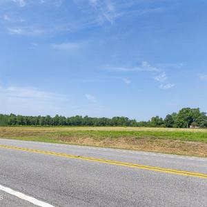 Photo #6 of 8424 Joe Brown, Clarendon, NC 3.3 acres