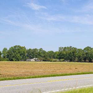 Photo #6 of 8462 Joe Brown, Clarendon, NC 4.2 acres
