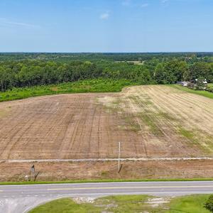 Photo #5 of 8462 Joe Brown, Clarendon, NC 4.2 acres
