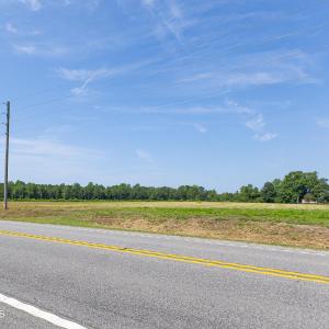 Photo #5 of 8610 Joe Brown, Clarendon, NC 7.0 acres