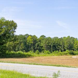 Photo #11 of 8610 Joe Brown, Clarendon, NC 7.0 acres