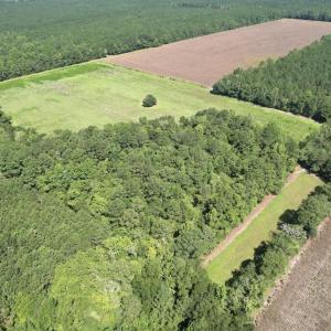 Photo #5 of Ward Town, Whiteville, NC 70.4 acres
