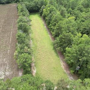 Photo #15 of Ward Town, Whiteville, NC 70.4 acres