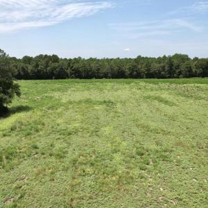Photo #38 of Ward Town, Whiteville, NC 70.4 acres