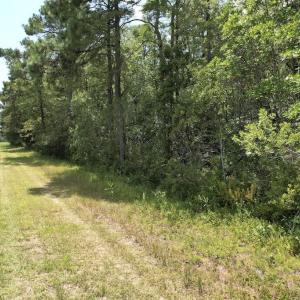 Photo #27 of Ward Town, Whiteville, NC 70.4 acres