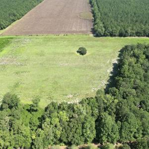 Photo #18 of Ward Town, Whiteville, NC 70.4 acres