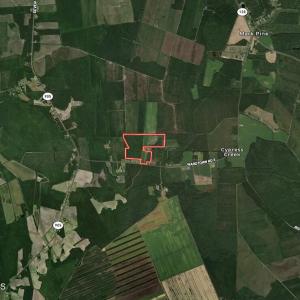 Photo #49 of Ward Town, Whiteville, NC 70.4 acres