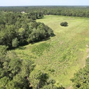 Photo #17 of Ward Town, Whiteville, NC 70.4 acres