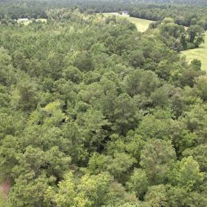 Photo #14 of Ward Town, Whiteville, NC 70.4 acres