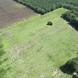 Photo #19 of Ward Town, Whiteville, NC 70.4 acres