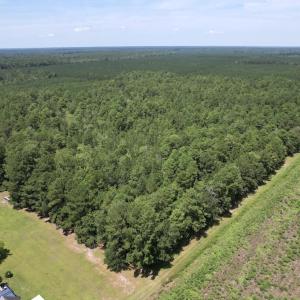 Photo #7 of Ward Town, Whiteville, NC 70.4 acres