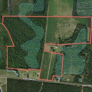 Photo #48 of Ward Town, Whiteville, NC 70.4 acres