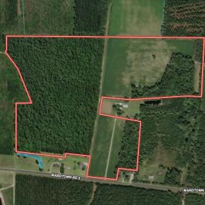 Photo #47 of Ward Town, Whiteville, NC 70.4 acres