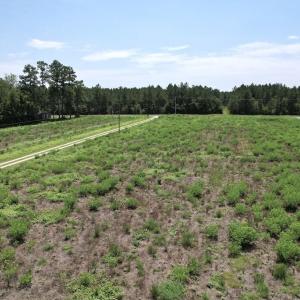 Photo #10 of Ward Town, Whiteville, NC 70.4 acres