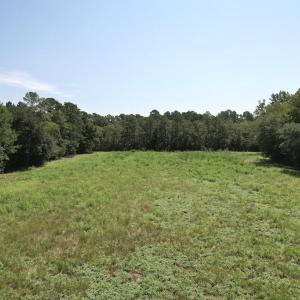 Photo #25 of Ward Town, Whiteville, NC 70.4 acres