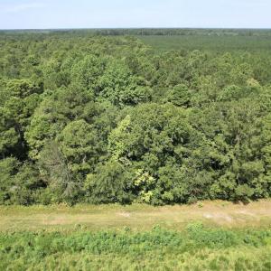 Photo #23 of Ward Town, Whiteville, NC 70.4 acres