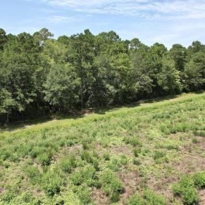 Photo #45 of Ward Town, Whiteville, NC 70.4 acres