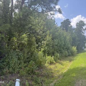 Photo #4 of Near 26880 Near 26880 Andrew Ja, Delco, NC 20.0 acres