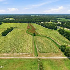 Photo #10 of Carolina 43, Macclesfield, NC 50.0 acres