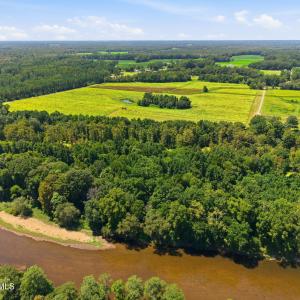 Photo #5 of Carolina 43, Macclesfield, NC 50.0 acres