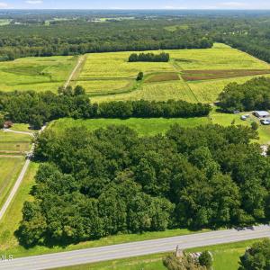 Photo #3 of Carolina 43, Macclesfield, NC 50.0 acres