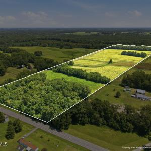 Photo #11 of Carolina 43, Macclesfield, NC 50.0 acres