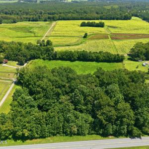 Photo #7 of Carolina 43, Macclesfield, NC 50.0 acres