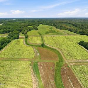 Photo #9 of Carolina 43, Macclesfield, NC 50.0 acres