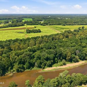 Photo #4 of Carolina 43, Macclesfield, NC 50.0 acres