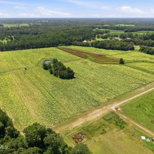 Photo #6 of Carolina 43, Macclesfield, NC 50.0 acres