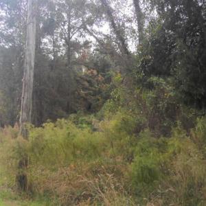 Photo #2 of 2.02 Ac Highway 258, Kinston, NC 2.0 acres