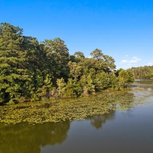 Photo #8 of 3581 Lake Shore, Shallotte, NC 0.4 acres