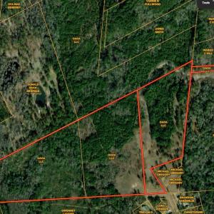 Photo #1 of 369 Randolphville, Bolivia, NC 71.0 acres