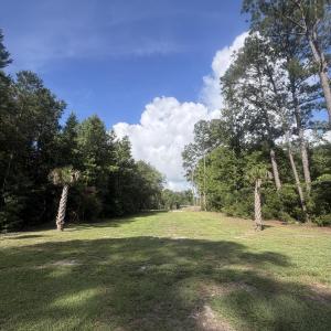 Photo #6 of 369 Randolphville, Bolivia, NC 71.0 acres
