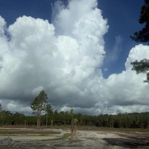 Photo #4 of 369 Randolphville, Bolivia, NC 71.0 acres