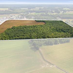Photo #9 of Tbd Nc-403, Mount Olive, NC 77.5 acres