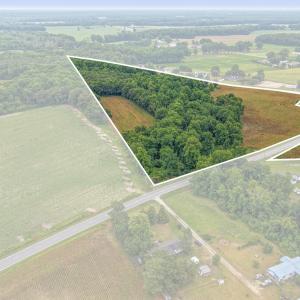 Photo #20 of Tbd Nc-403, Mount Olive, NC 77.5 acres