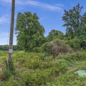 Photo #31 of Tbd Nc-403, Mount Olive, NC 77.5 acres