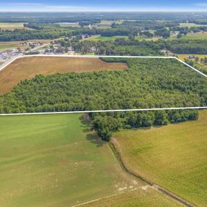 Photo #8 of Tbd Nc-403, Mount Olive, NC 77.5 acres