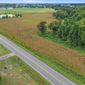 Photo #38 of Tbd Nc-403, Mount Olive, NC 77.5 acres