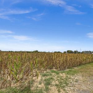 Photo #14 of Tbd Nc-403, Mount Olive, NC 77.5 acres
