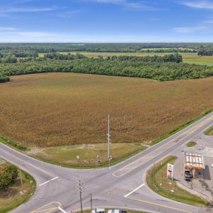 Photo #16 of Tbd Nc-403, Mount Olive, NC 77.5 acres