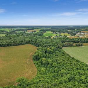 Photo #34 of Tbd Nc-403, Mount Olive, NC 77.5 acres