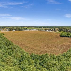 Photo #29 of Tbd Nc-403, Mount Olive, NC 77.5 acres